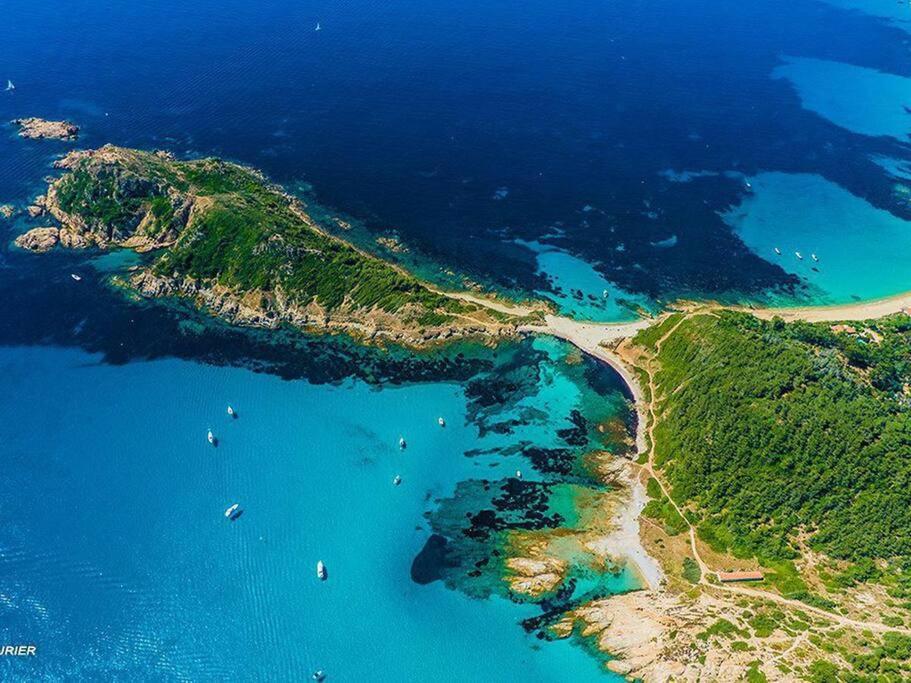 Apartment Un Coin De Paradis 2 Ou 4 Personnes Refait A Neuf Sainte-Maxime