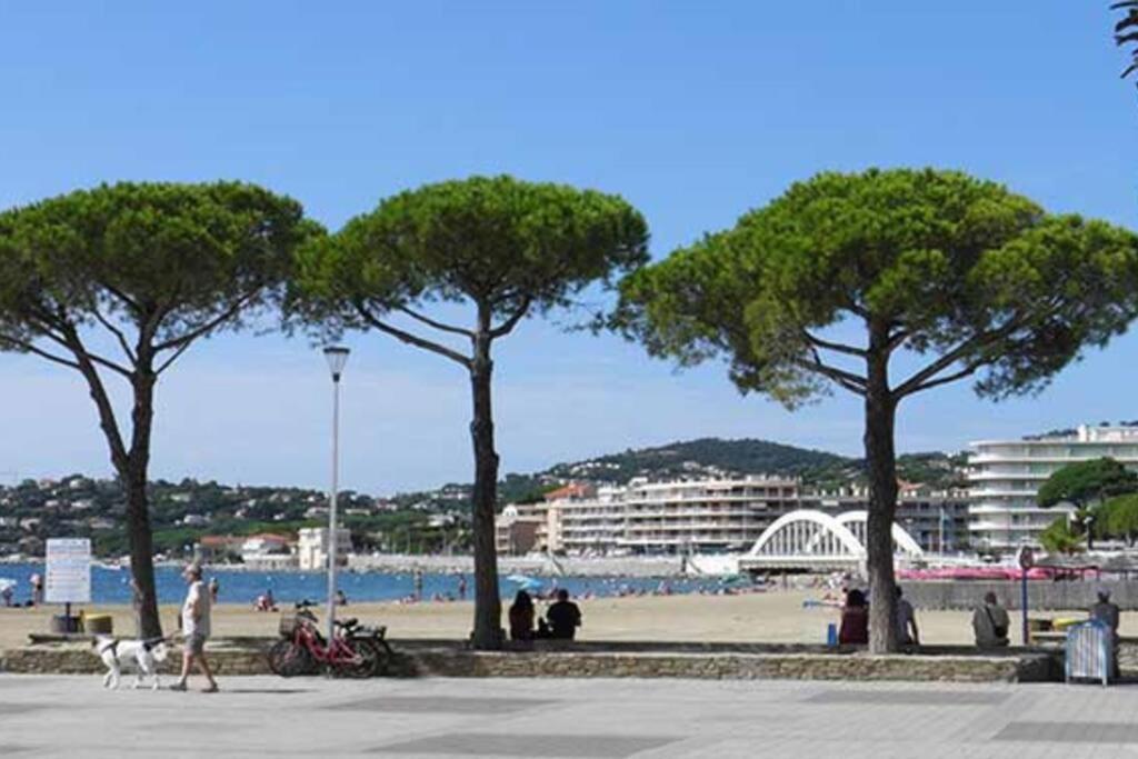 Un Coin De Paradis 2 Ou 4 Personnes Refait à Neuf * Sainte-Maxime